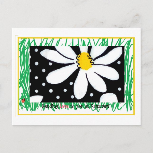 Passover Daisy Postcard (Front)