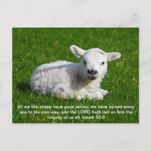 Passover Lamb, Isaiah 53 Postcard