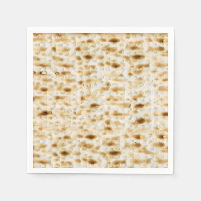 Passover Plate Napkin (Front)