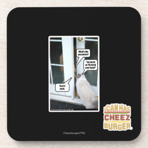 Password Please Coaster