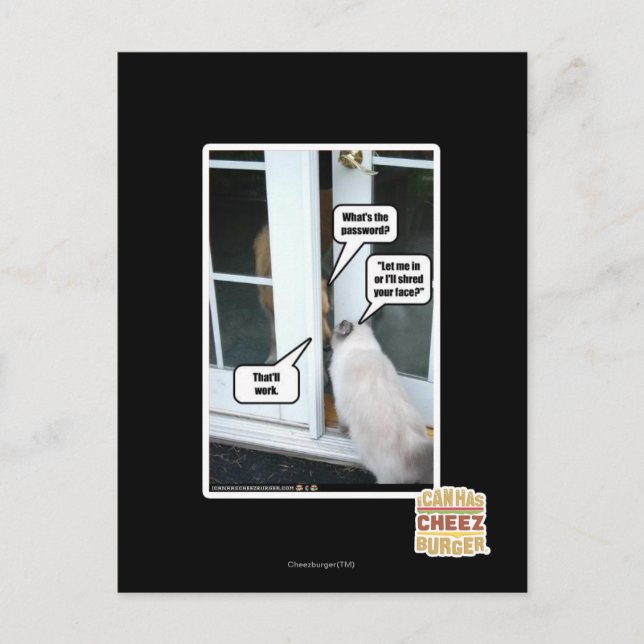 Password Please Postcard (Front)