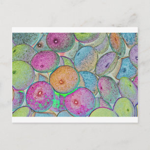 Pastal Art Postcard