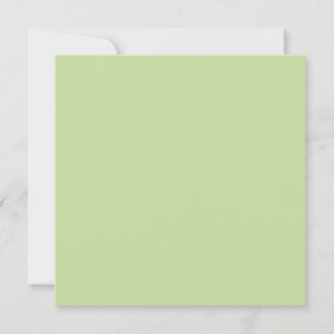 Pastel Apple Green Solid Colour Card