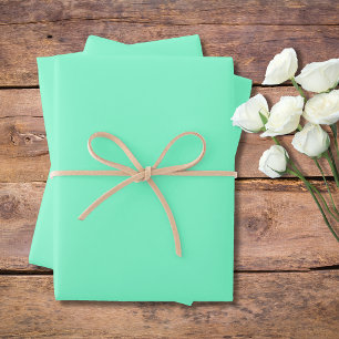 Pastel Aqua Marine Solid Colour   Classic   Elegan Wrapping Paper Sheet