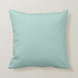 Pastel Aquamarine Blue-Green Solid Colour SW 0063 Cushion