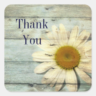 pastel blue barnwood country daisy wedding square sticker