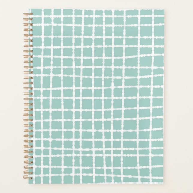 Pastel Blue Check Pattern Soft and Stylish Planner (Front)