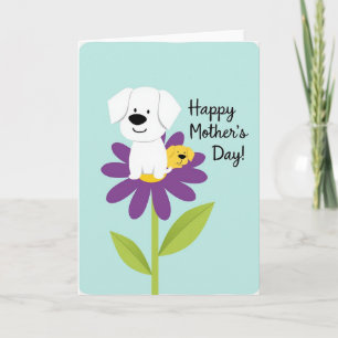 Pastel Blue Flower Petals Card