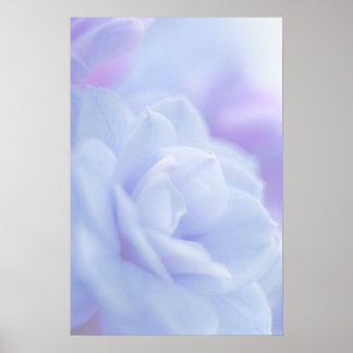 Pastel blue flower ... poster