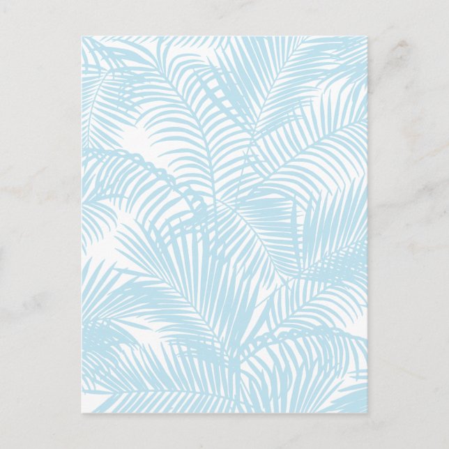 Pastel blue modern simple tropical palm tree flora postcard (Front)