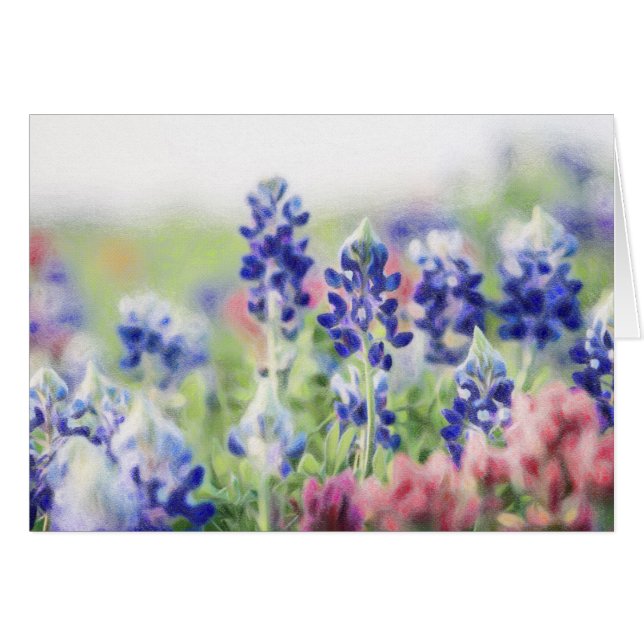 Pastel Bluebonnets (Front Horizontal)