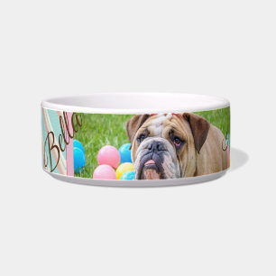 Pastel Chevron Dog Custom Photo Bowl