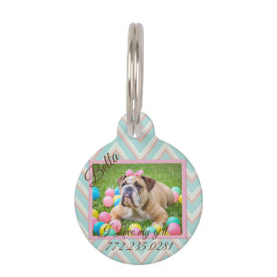 Pastel Chevron Dog Custom Photo Pet Tag