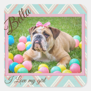 Pastel Chevron Dog Custom Photo Square Sticker