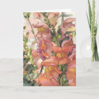 Pastel Coloured Pencil Flower Illustration