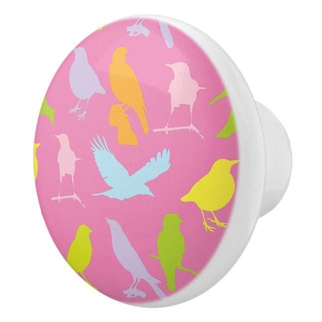 Pastel Coloured Variety of Birds Pattern Ceramic Knob (Right)