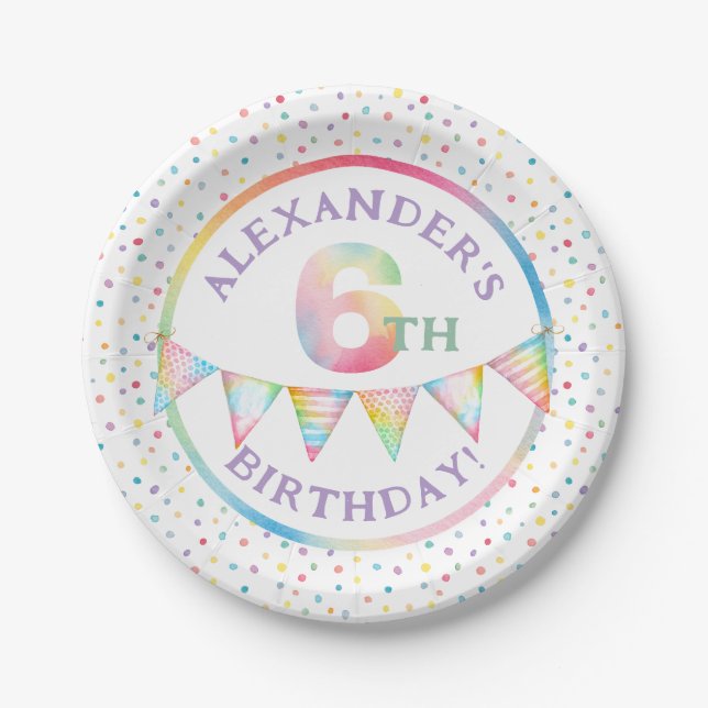 Pastel Confetti 6th Birthday Party Plates (Front)