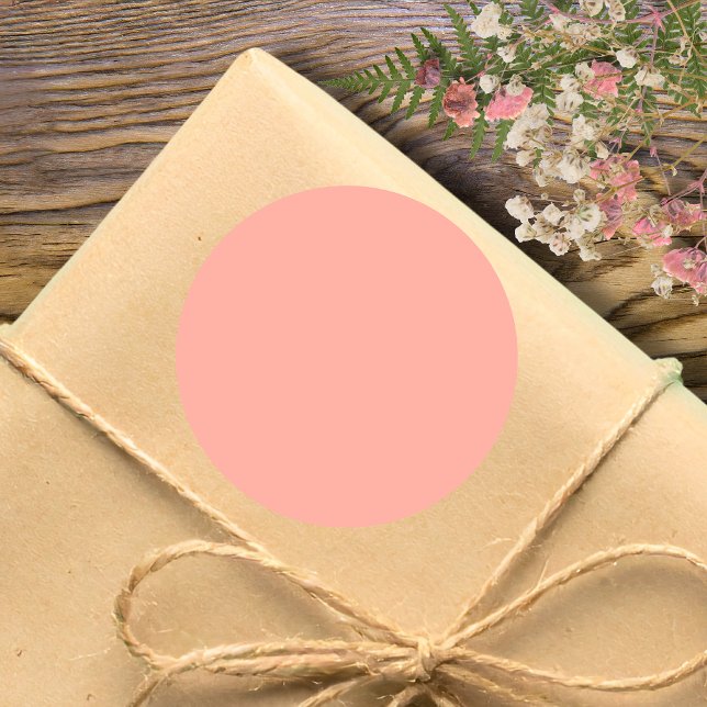 Pastel Coral Reef Solid Colour | Classic | Elegant Classic Round Sticker (Creator Uploaded)