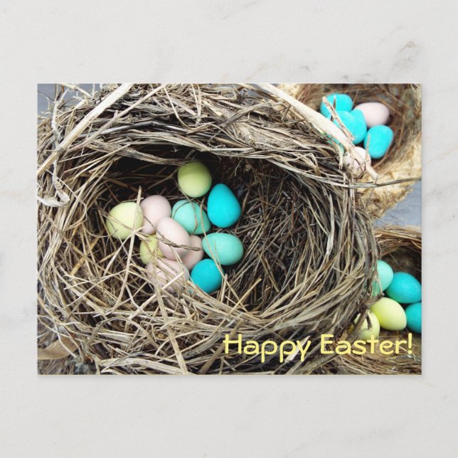 Pastel Easter eggs in real bird's nest photograph Holiday Postcard (Front)