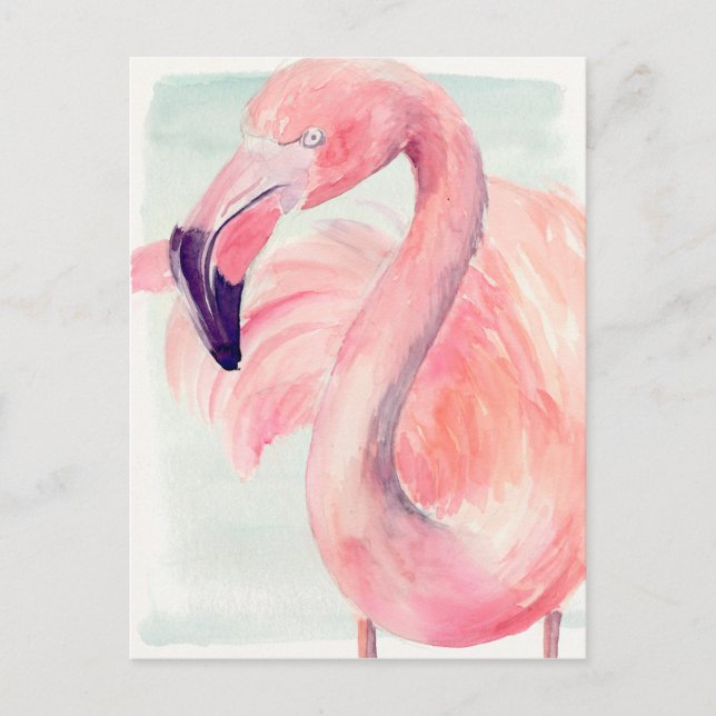 Pastel Flamingo Postcard (Front)