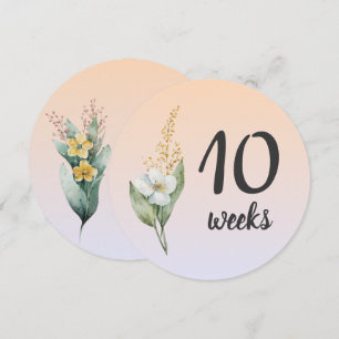 Pastel Floral 10-11 Weeks Pregnancy Milestone Card