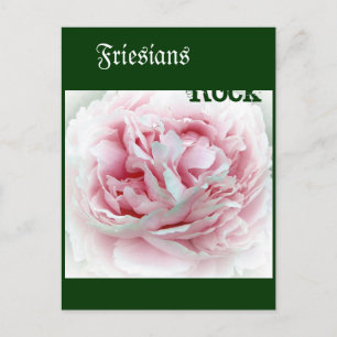 Pastel Flower Postcard