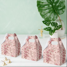Pastel French Toile