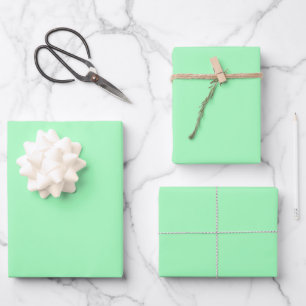 Pastel Frosted Mint Solid Colour Classic Elegant Wrapping Paper Sheet