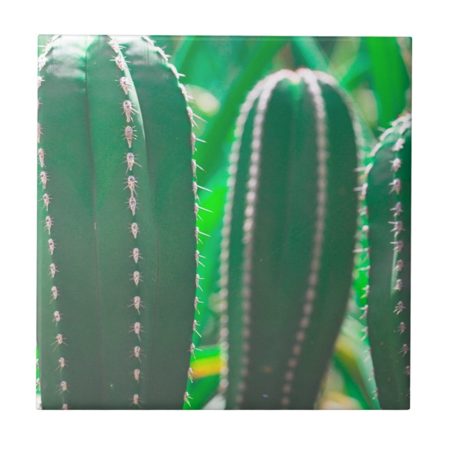 Pastel Green cactus plant leaves Tile (Front)