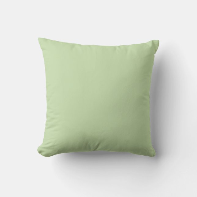 Pastel Green Solid Colour Pairs Aloe Gel 058-83-18 Cushion (Front)