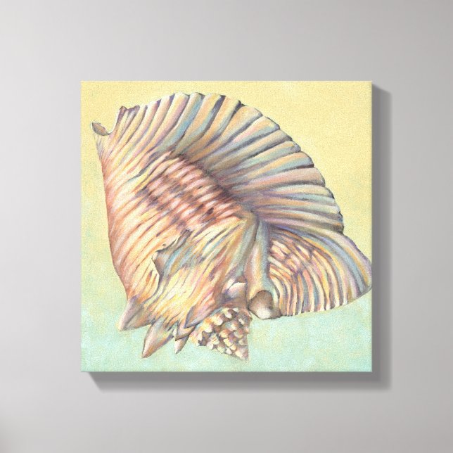 Pastel Large Conch Shell Canvas Print (Front)