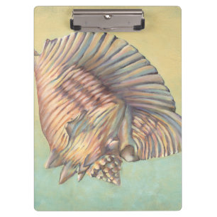 Pastel Large Conch Shell Clipboard