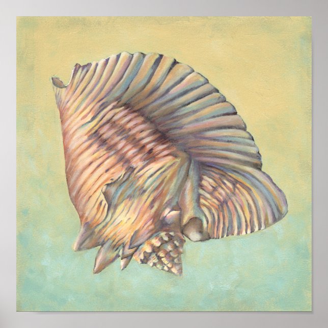 Pastel Large Conch Shell Poster (Front)
