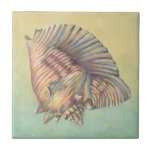Pastel Large Conch Shell Tile<br><div class="desc">Get this unique multi-coloured large Conch seashell image on your next product. This amazing,  cocoa background these two unique seashells. Take the beach with you everywhere you go and imagine the soft ocean breeze.</div>