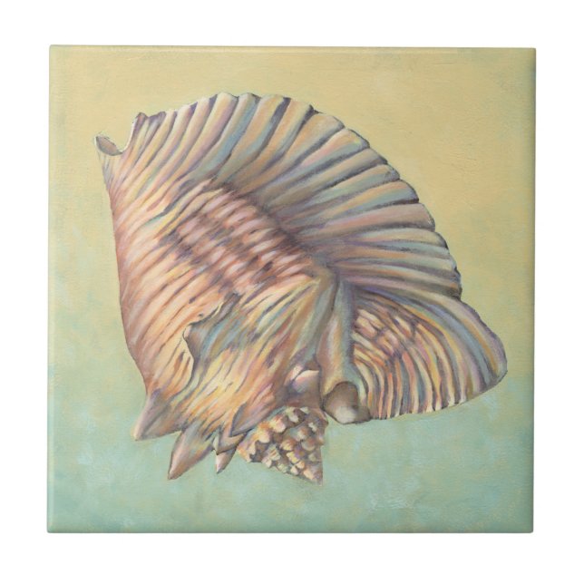Pastel Large Conch Shell Tile (Front)