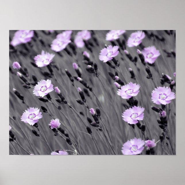 Pastel Lilac Wildflowers Poster (Front)