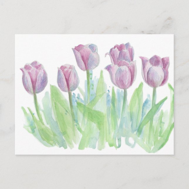 Pastel Mauve Lavender Tulip Watercolor Flowers Postcard (Front)