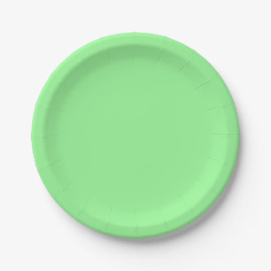 Pastel Mint Solid Colour   Classic   Elegant Paper Plate