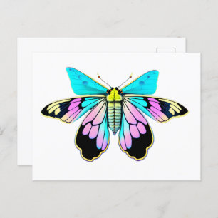 Pastel Moth, watercolor style, Postcrossing Postcard