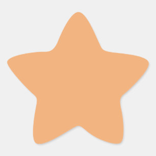 Pastel Orange  Star Sticker