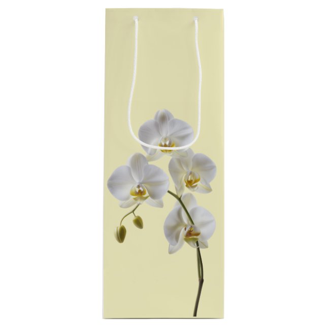 Pastel Orchid Gift Bag (Front)