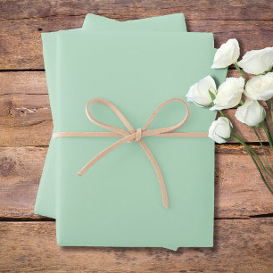 Pastel Pale Green Solid Colour   Classic Elegant Wrapping Paper Sheet