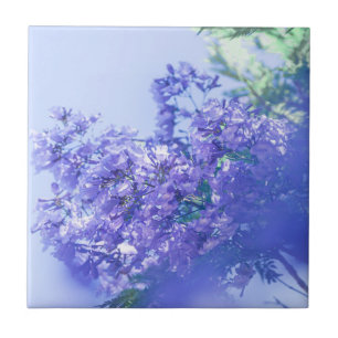Pastel Pale Purple Jacaranda Tree Flowers Tile