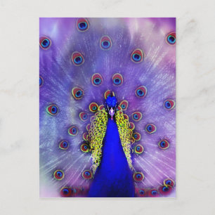 Pastel Peacock Blue Bird Postcard