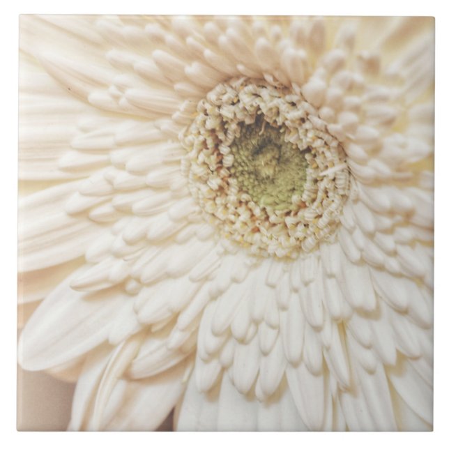 Pastel Petals Flower Chrysanthemum Tile (Front)