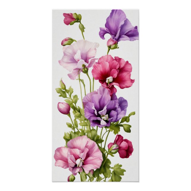 Pastel Petals: Stylised Sweet Pea Blossom Poster (Front)