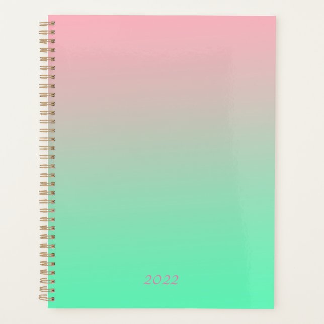Pastel pink and pale green should always be seen planner (Front)
