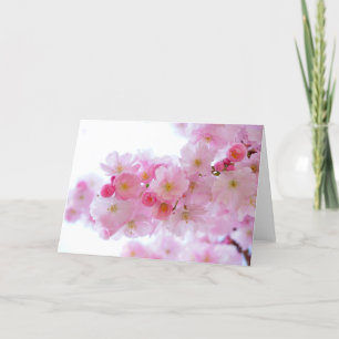 Pastel Pink Cherry Blossoms Card