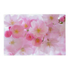 Pastel Pink Cherry Blossoms