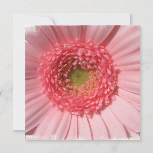 Pastel Pink Daisy  Invitations (Front)